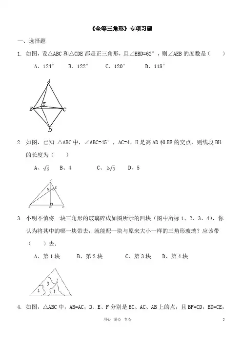 《全等三角形》专项习题 (3)