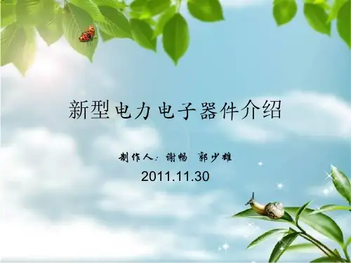新型电力电子器件介绍