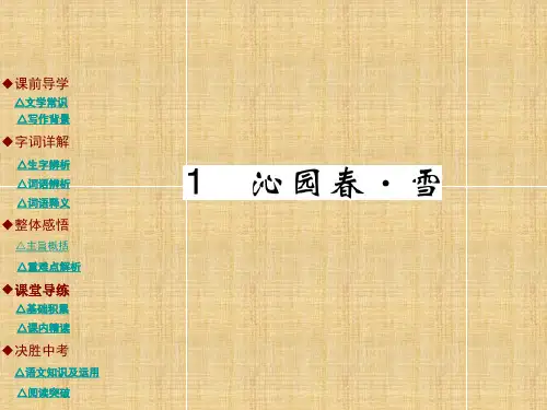 泌园春雪课件