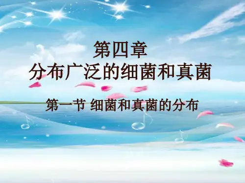 分布广泛的细菌和真菌PPT教学课件