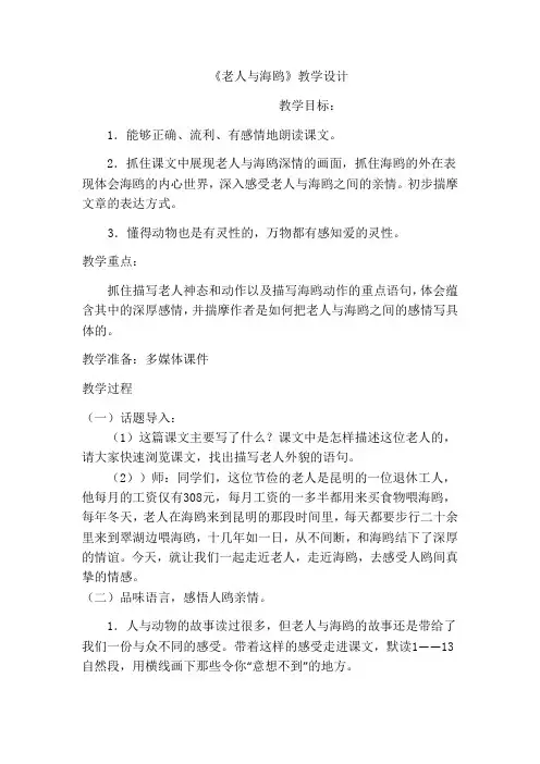 老人与海鸥教案