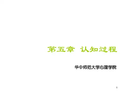 心理学基础第五章