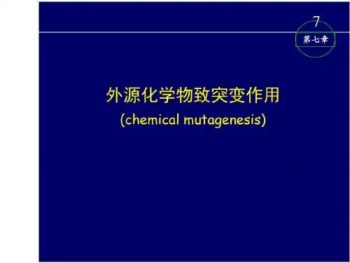外源化学物致突变作用共69页