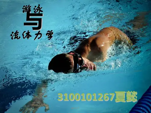 游泳与流体力学  ppt课件