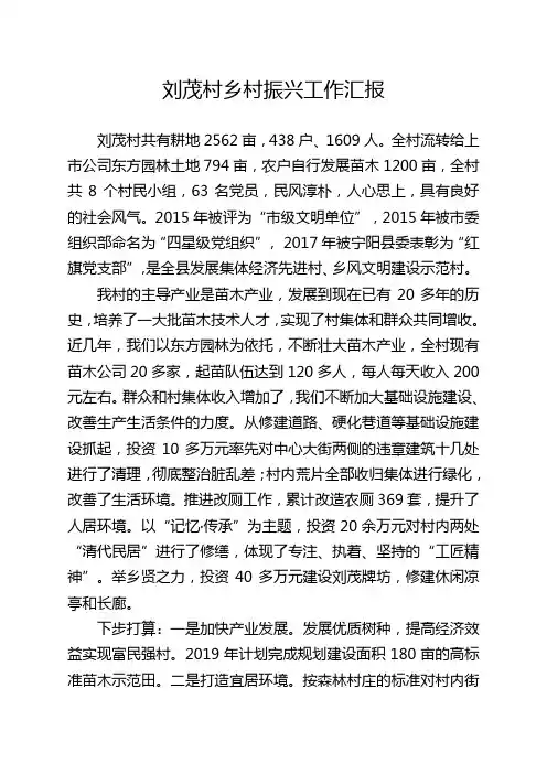 刘茂村乡村振兴工作汇报