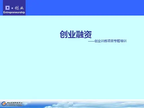 第五章创业融资.