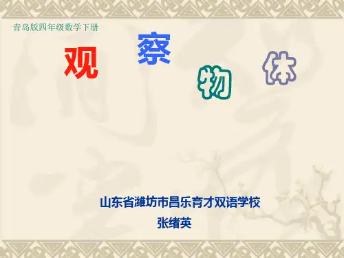 教育部参赛《观察物体》教学课件张绪英
