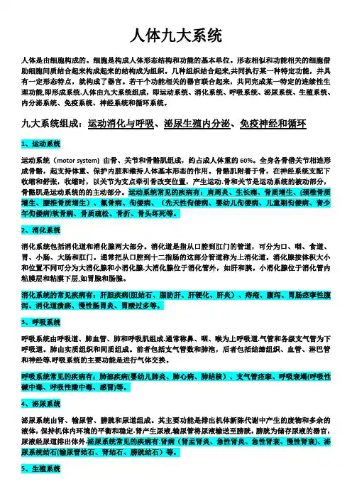 人体九大系统