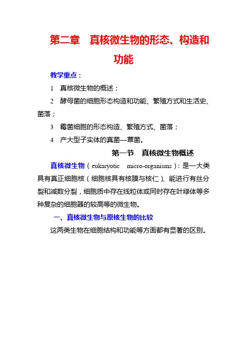 第二章真核微生物的形态、构造和功能