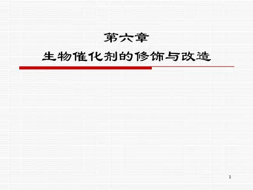 第六章生物催化剂的修饰与改造-课件