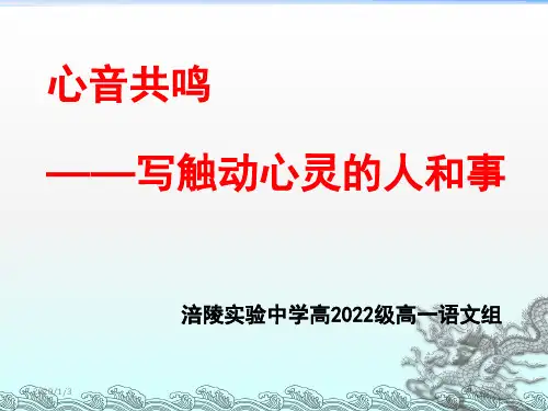 作文训练——心音共鸣