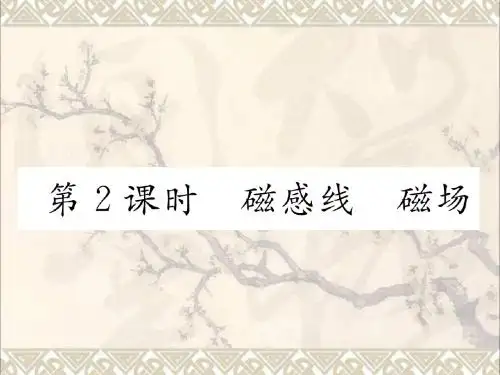 九年级物理全册17.1磁是什么第2课时磁感线磁场作业课件(新版)沪科版