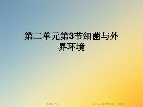 第二单元第3节细菌与外界环境