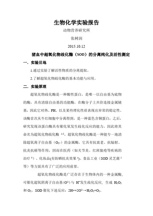 生物化学实验报告