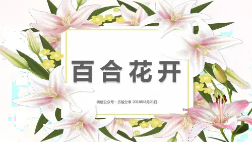 《百合花开》