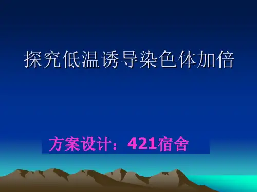 低温诱导染色体加倍.1