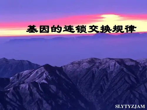基因的连锁与交换定律