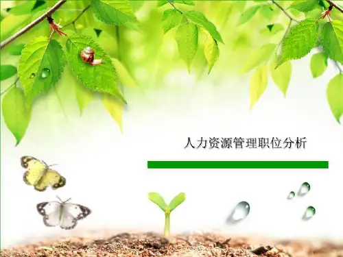 人力资源管理职位分析