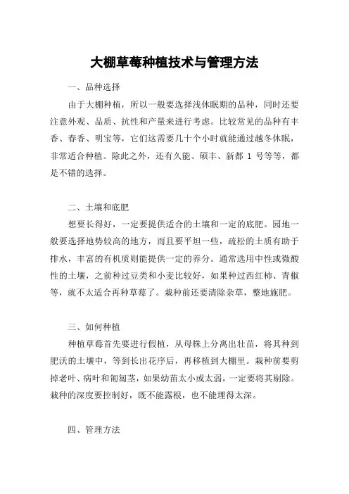 大棚草莓种植技术与管理方法