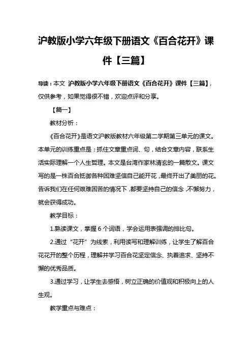 沪教版小学六年级下册语文《百合花开》课件【三篇】