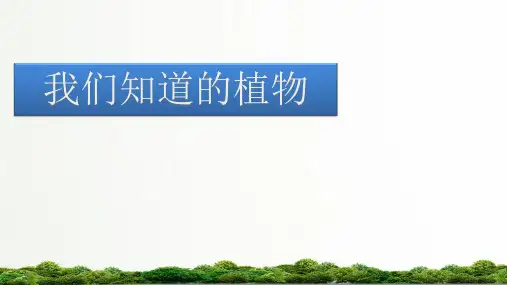 教科版小学科学一年级上册:我们知道的植物