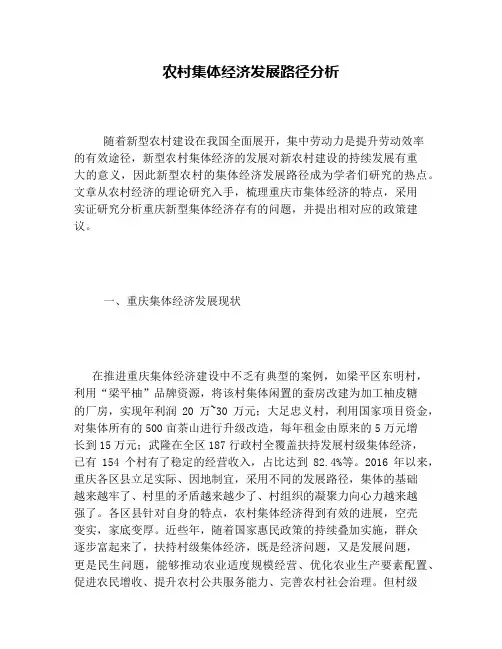 农村集体经济发展路径分析