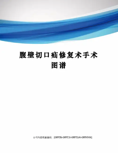 腹壁切口疝修复术手术图谱