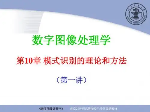 第10章 模式识别的理论与方法(第1讲)