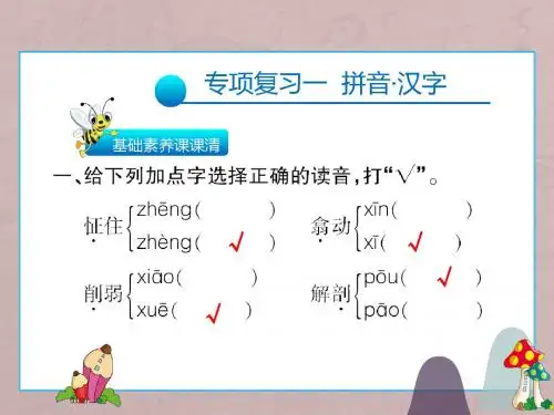 五年级上册语文习题课件-专项复习一  拼音·汉字∣人教新课标(共16张PPT)