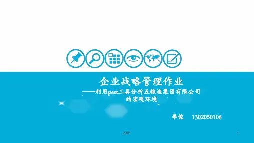 pest分析五粮液案例PPT课件