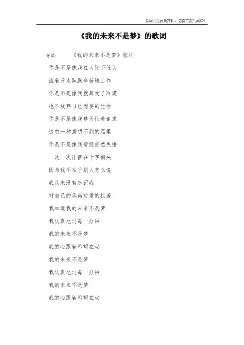 《我的未来不是梦》的歌词 2