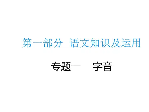 中考语文总复习专题PPT课件专题一字音PPT