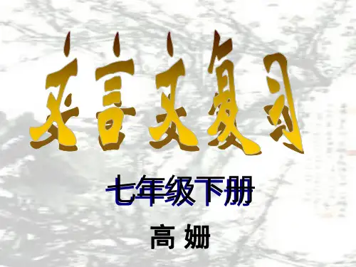 七年级下册.ppt