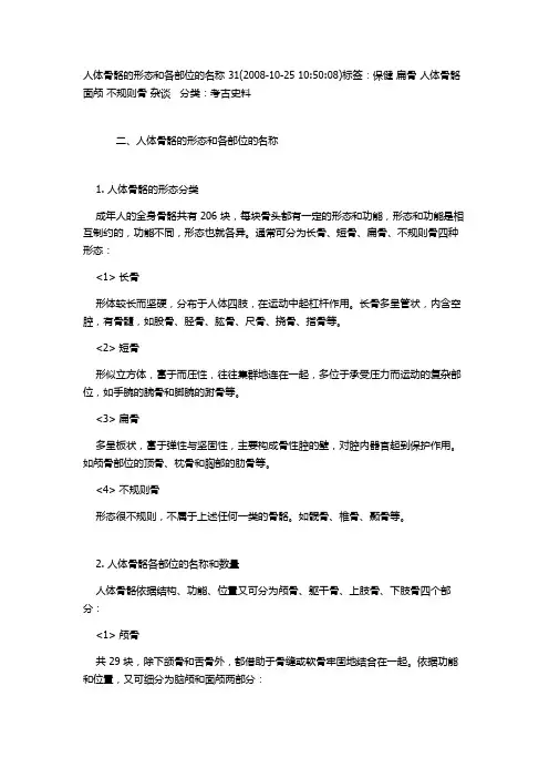 人体骨骼分类