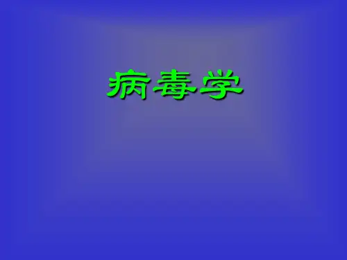 23 24 病毒的基本性状 (2)