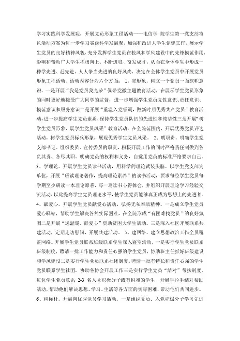 党支部特色活动方案
