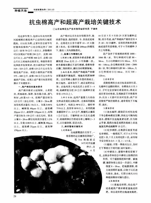 抗虫棉高产和超高产栽培关键技术