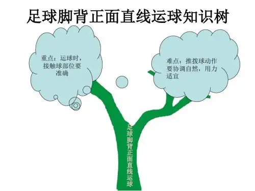足球脚背正面直线运球知识树