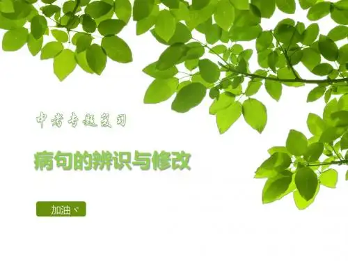 中考专题之病句修改课件专题复习