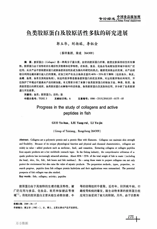 鱼类胶原蛋白及胶原活性多肽的研究进展