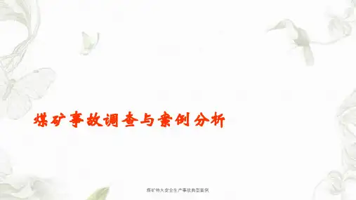 煤矿特大安全生产事故典型案例课件