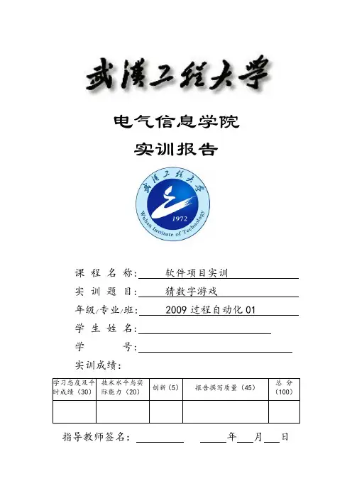 软件项目实训报告模板