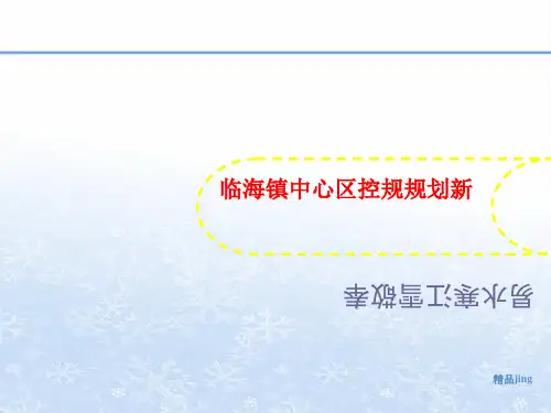 临海镇讲义中心区控规规划新