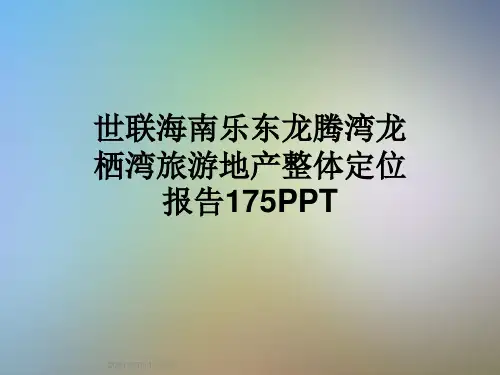世联海南乐东龙腾湾龙栖湾旅游地产整体定位报告175PPT