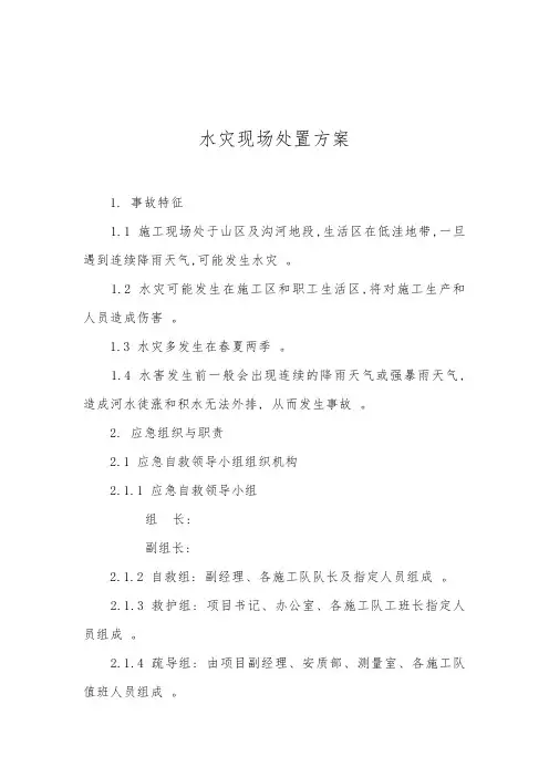 水灾现场处置方案 2