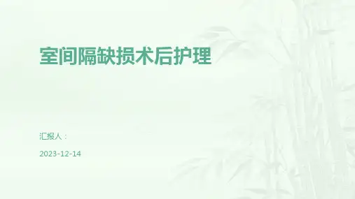 室间隔缺损术后护理