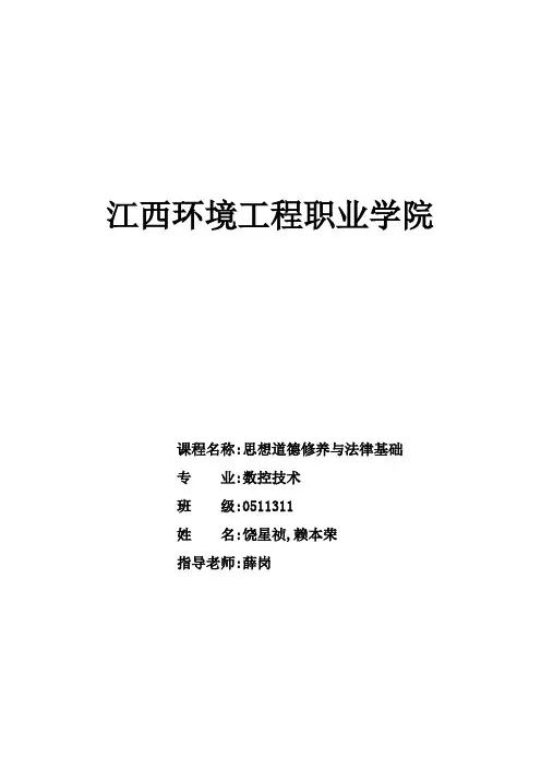 思想道德修养与法律基础论文 2