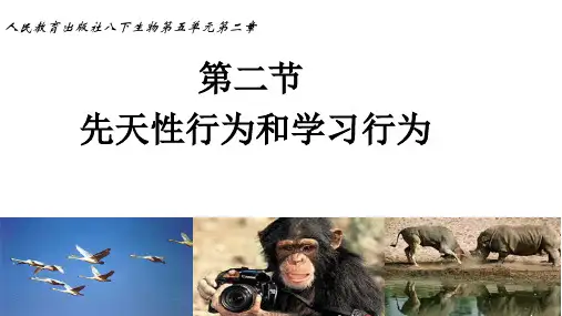 人教版七年级生物第二节先天性行为和学习行为课件