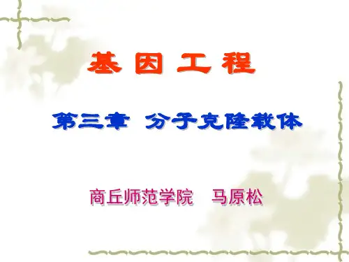 基因工程第三章分子克隆载体