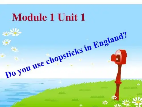 2015.9.1M1U1Do_you_use_chopsticks_in_the_UK